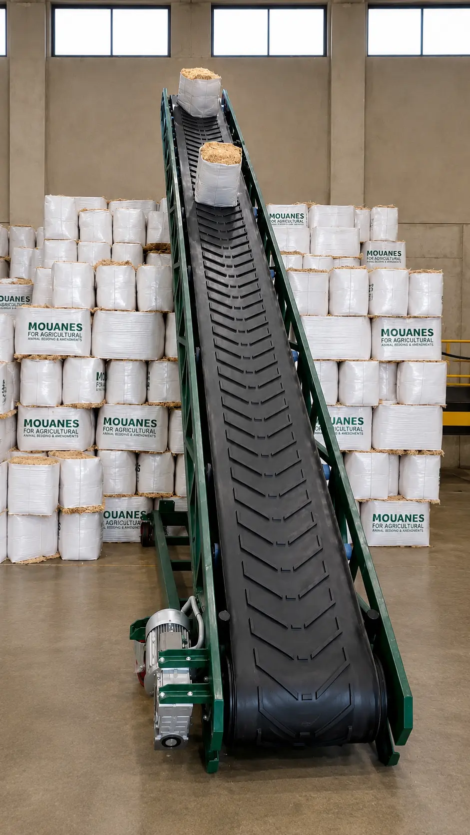 Industrial belt conveyor carrying packed material